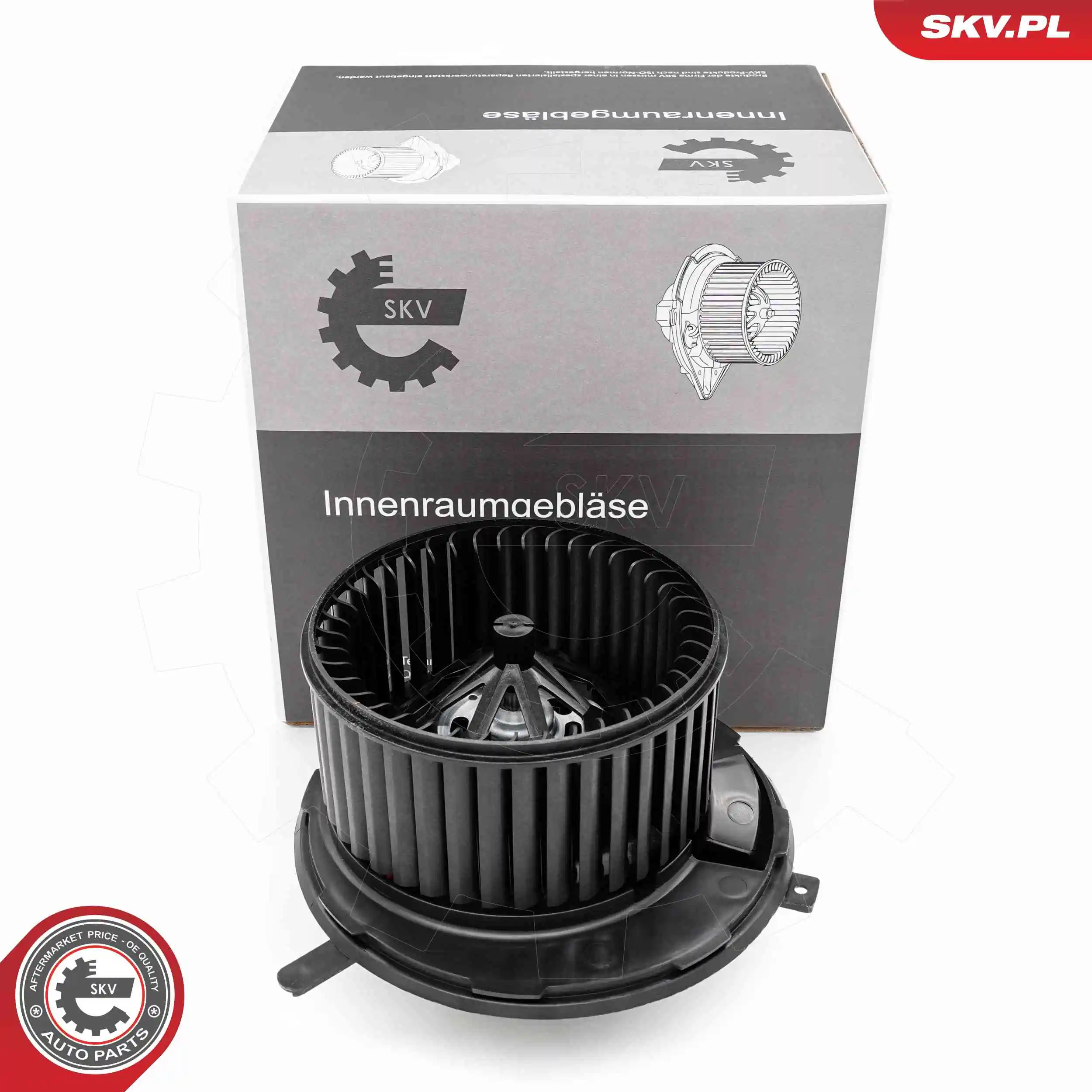 Interior Blower